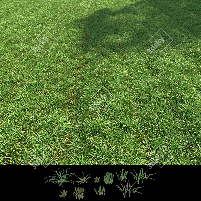 Lush Green Lawn: 3D Grass Model 3D model image 2