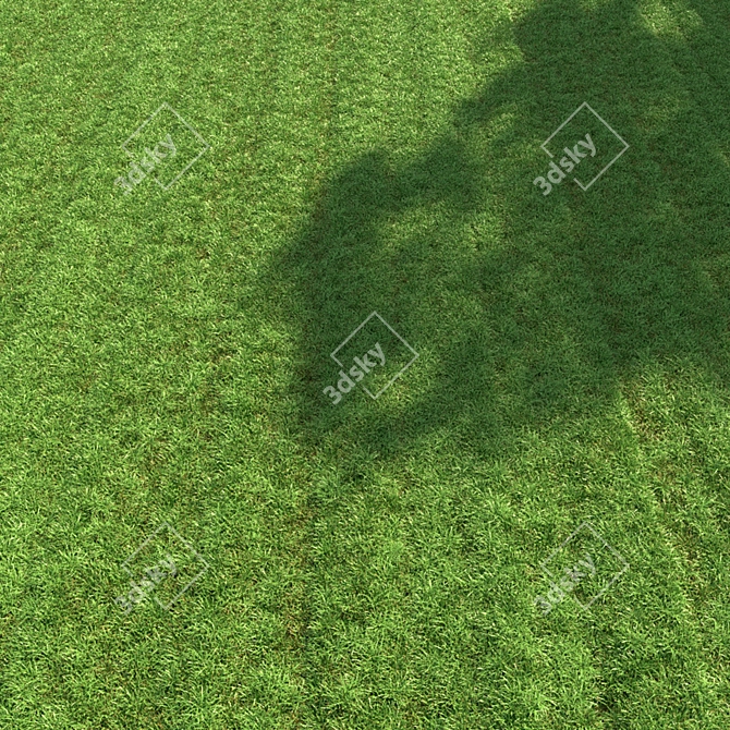 Lush Green Lawn: 3D Grass Model 3D model image 3