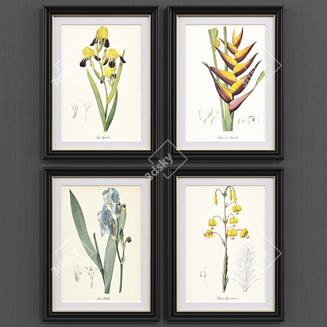 Modern Botanical Art Prints Set 3D model image 1