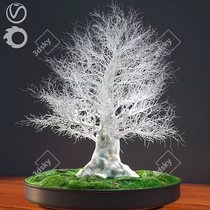 Eternal Winter Bonsai 3D model image 1