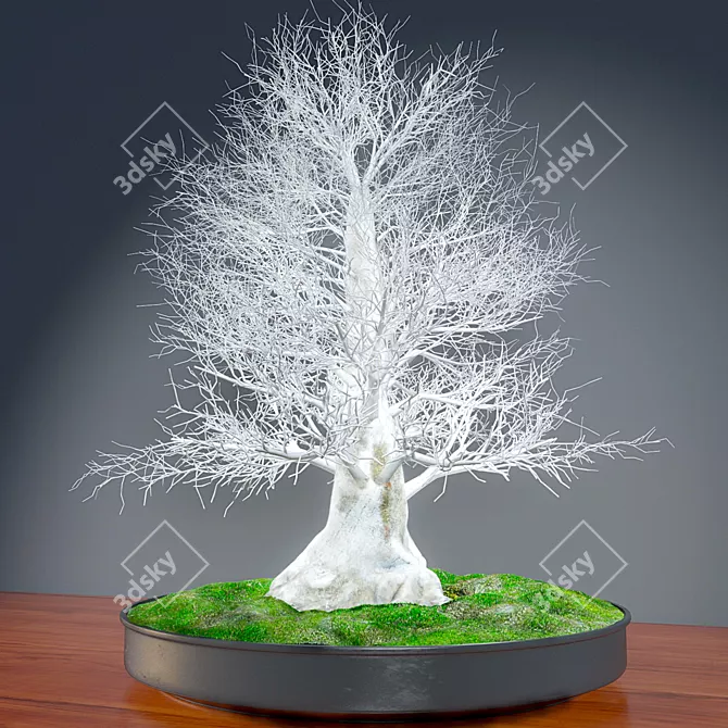 Eternal Winter Bonsai 3D model image 2