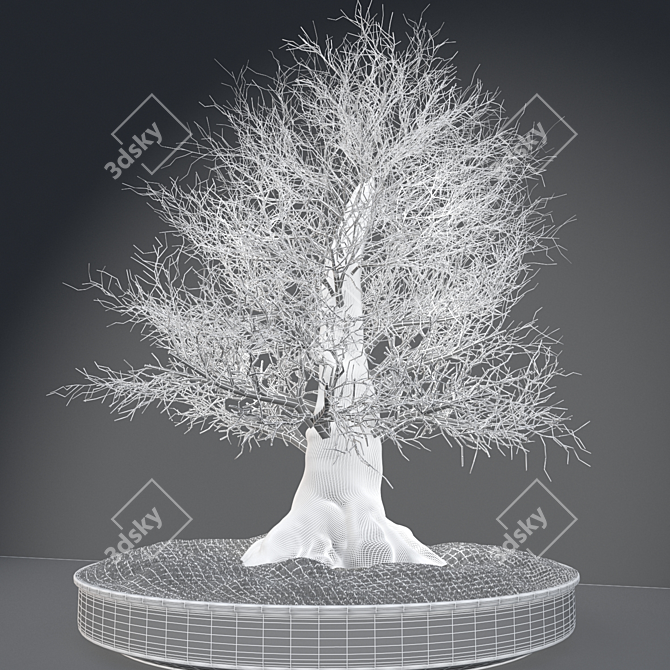 Eternal Winter Bonsai 3D model image 3