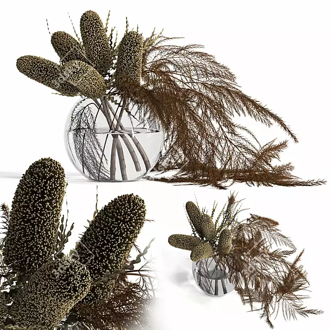 Natural Banksia and Fern: Realistic Plant with Unique Textures 3D model image 1