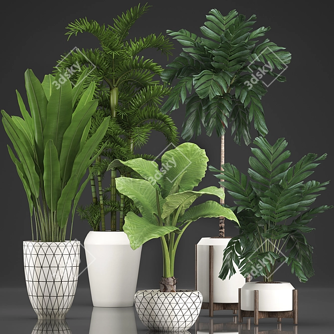 Exotic Houseplants Collection 3D model image 1