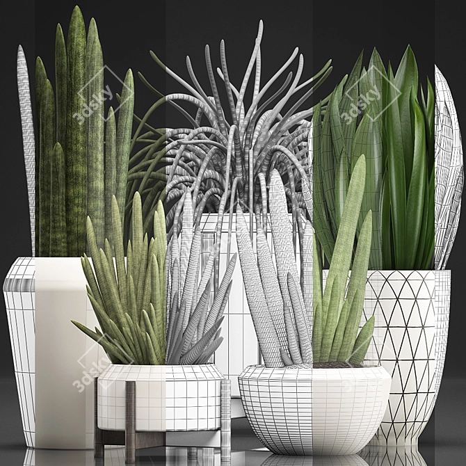 Exotic Houseplant Collection - Sansevieria 3D model image 3