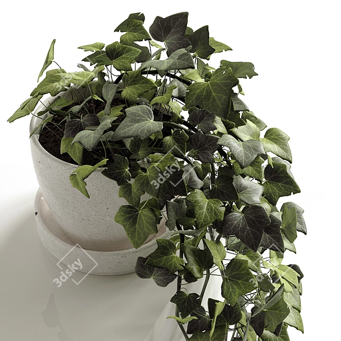 Ivy Wonder: Elegant Hedera Helix Hanging Plants 3D model image 2