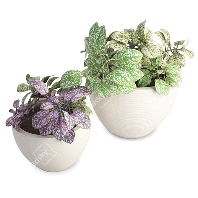 Modern Interior Flower Pot Set 3D model image 1