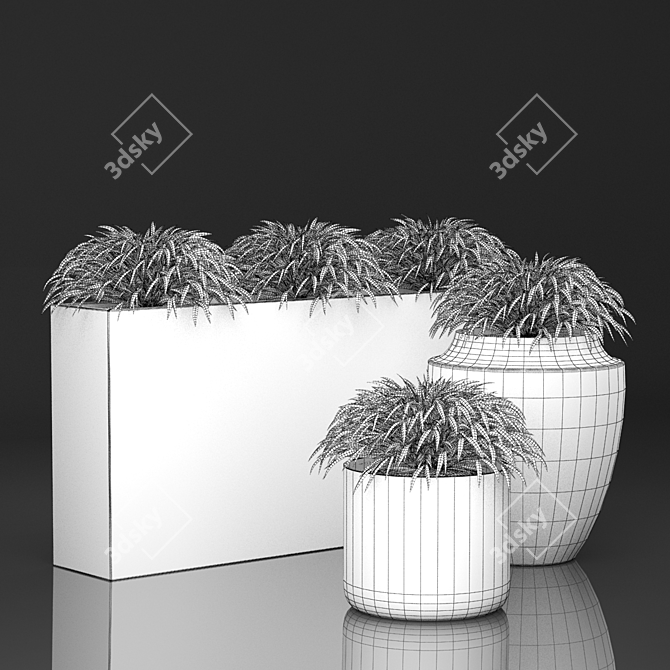 Title: Hakonechloa Grass in Pots | Planter Collection 3D model image 2