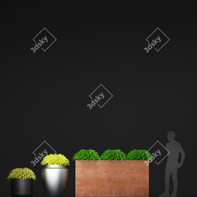 Title: Hakonechloa Grass in Pots | Planter Collection 3D model image 3