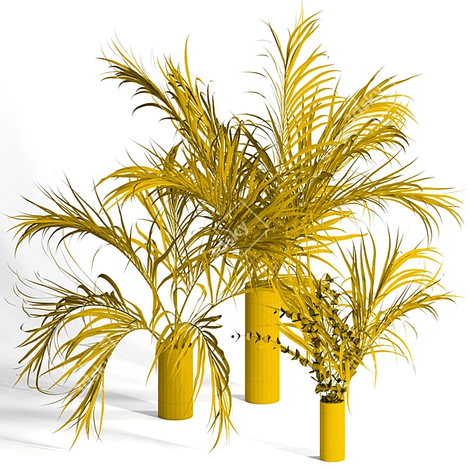 Natural Dry Palm Leaf Vases 3D model image 2