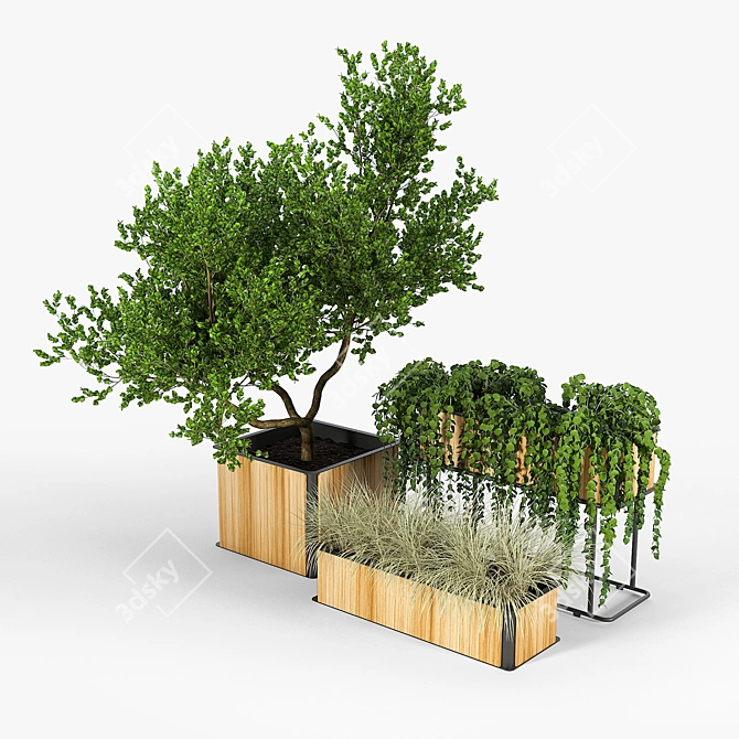 Teak Box and Frame Planters | Flowerbox Combine 3D model image 2