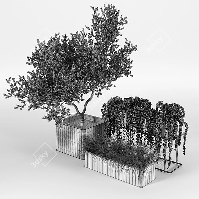 Teak Box and Frame Planters | Flowerbox Combine 3D model image 3