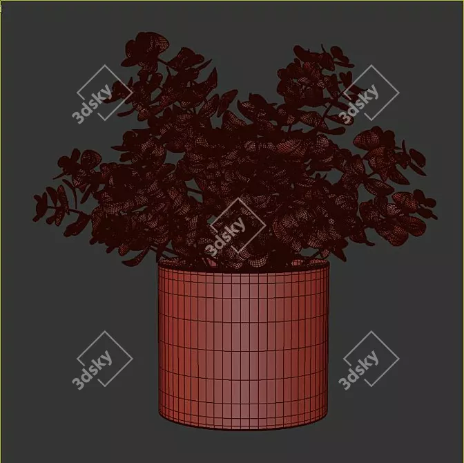 Eucalyptus Bonsai: Faux Naturalist Elegance 3D model image 3