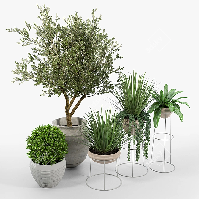 Modern Terracotta Planters for Indoor or Outdoor Use 3D model image 2