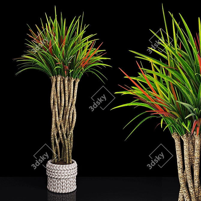 12-Plant Collection: High-Quality 3D Models 3D model image 1