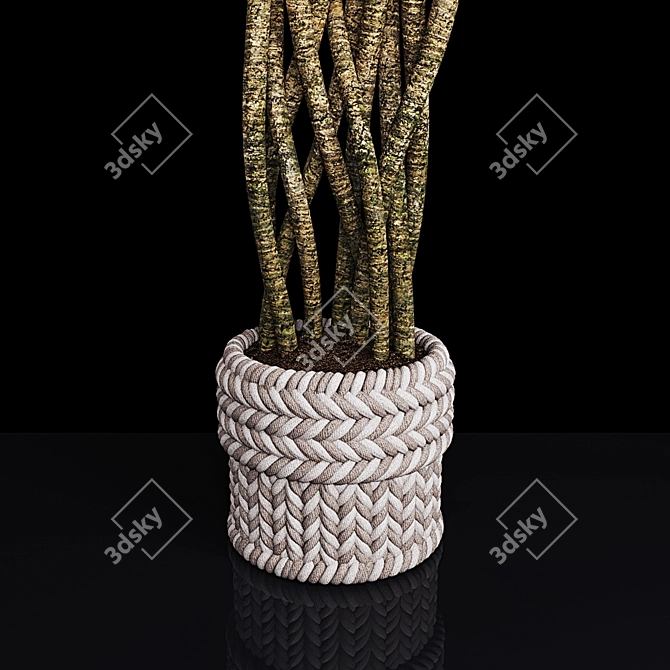 12-Plant Collection: High-Quality 3D Models 3D model image 2