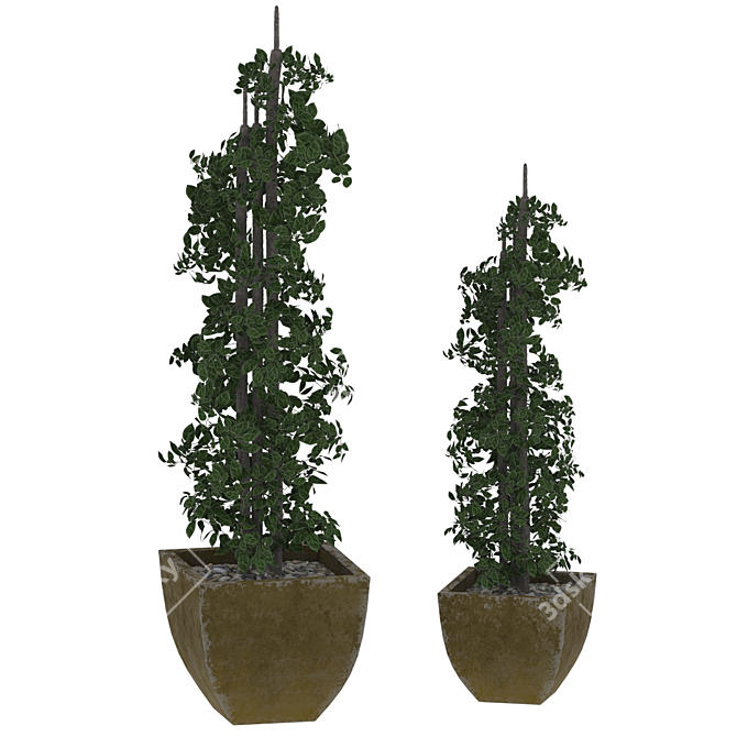 Lush Greenery: Plant & Pot 3D model image 1