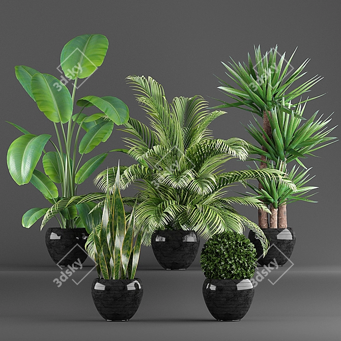 Green Oasis: 5-Piece Plant Set 3D model image 1