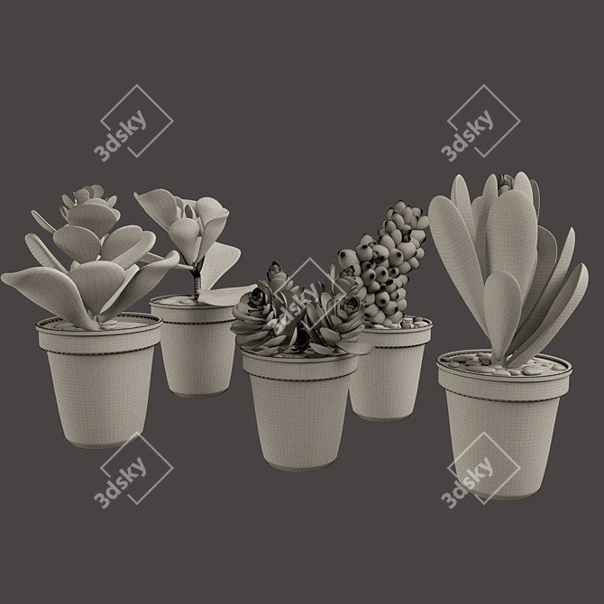 Vibrant Cactus Pot Set: Maziye Model 3D model image 3