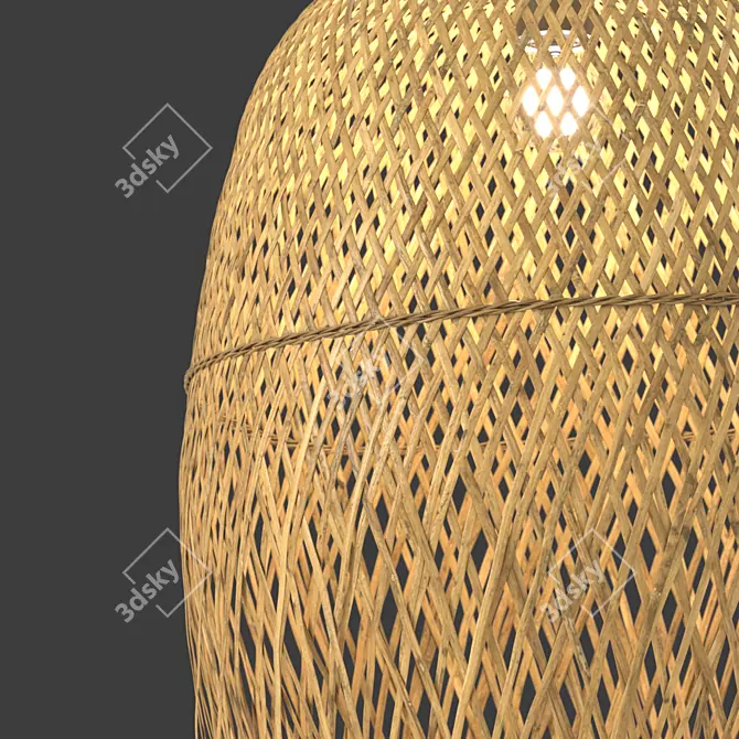 Exotic Bamboo Pendant: Panama 3D model image 2