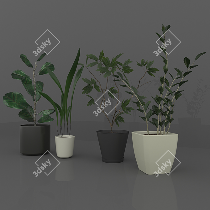 Sina Model: Elegant Indoor Plant 3D model image 1