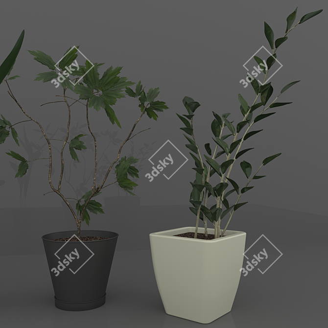 Sina Model: Elegant Indoor Plant 3D model image 2