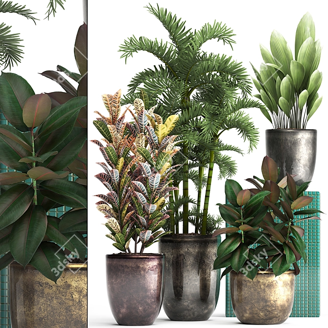 Exotic Plant Collection: Croton, Areca Palm, Ficus 3D model image 1