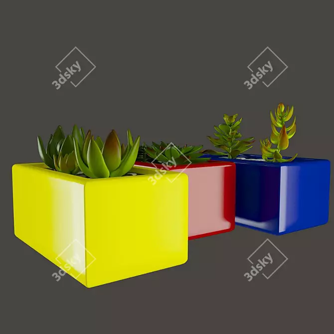 Vibrant Cactus Set: Marziye 3D model image 1