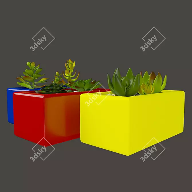 Vibrant Cactus Set: Marziye 3D model image 2