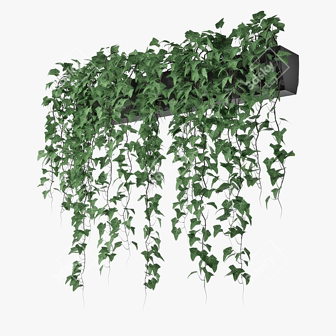 Lush Ivy in Pot 3D model image 1