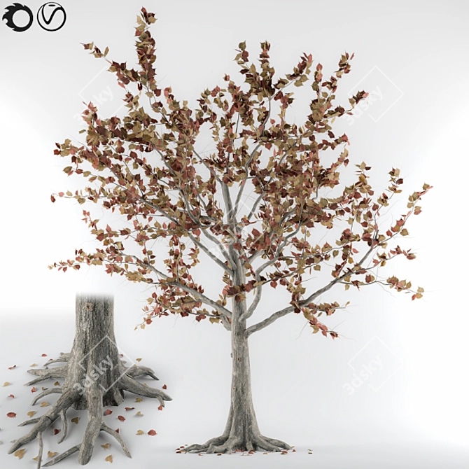 Autumn Tree 3D Model 3D model image 1