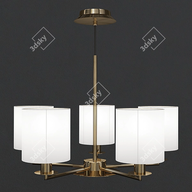 Elegant Shade Style Chandelier 3D model image 1