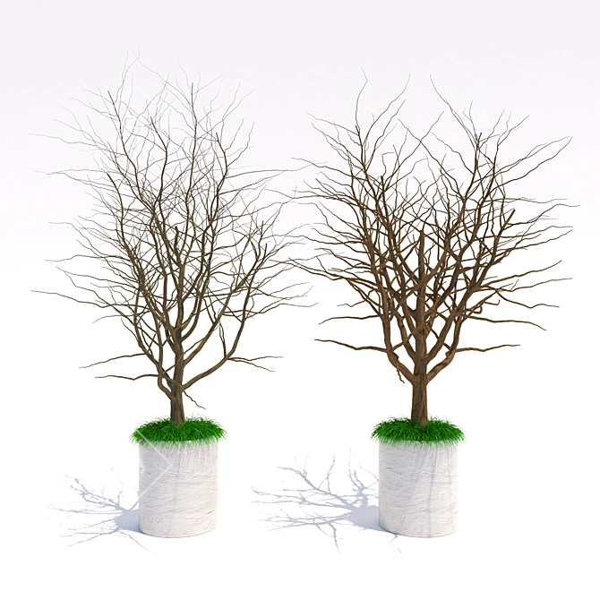 Breezy Blooms: Indoor Harmony Pair 3D model image 1