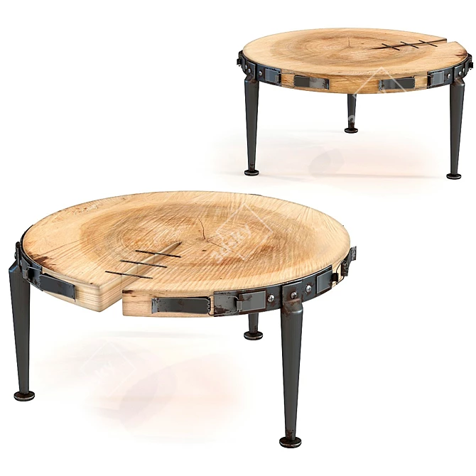 Bosco Wood Slice Coffee Table 3D model image 1