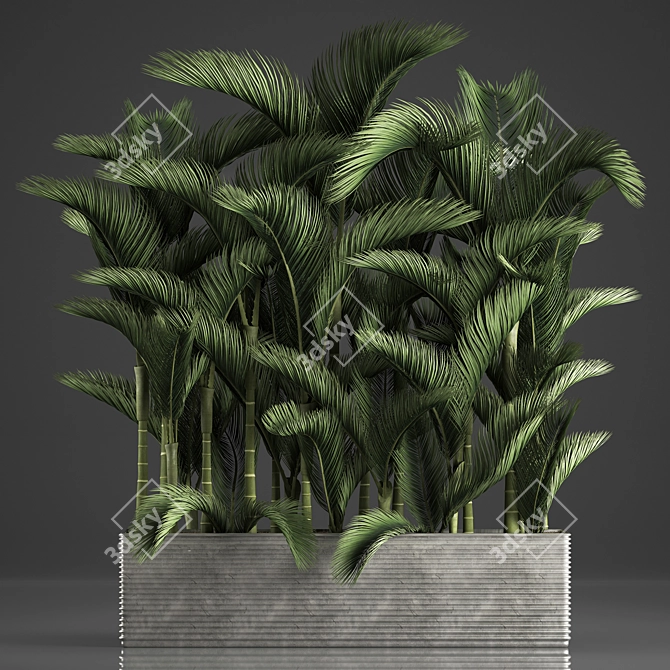 Exotic Houseplant Collection 3D model image 1