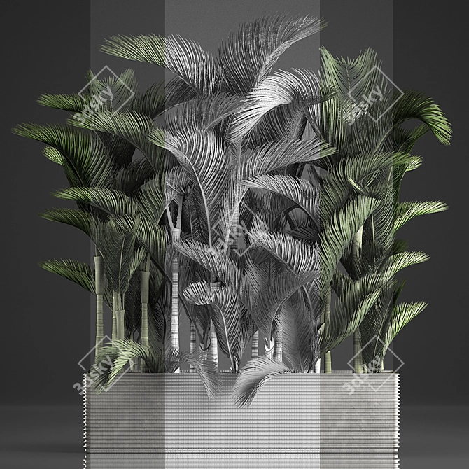 Exotic Houseplant Collection 3D model image 3