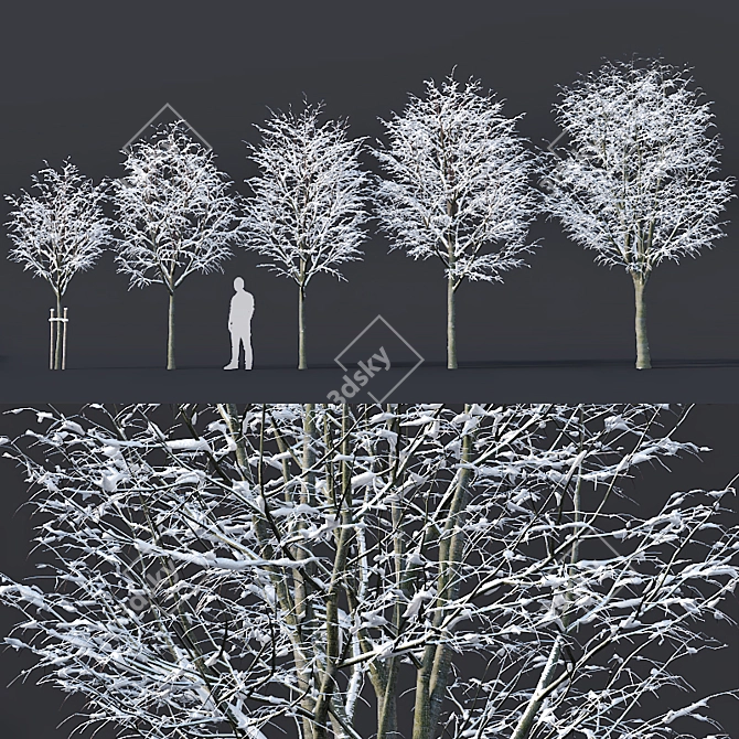 Winter Wonderland: Tilia Tree Set 3D model image 1