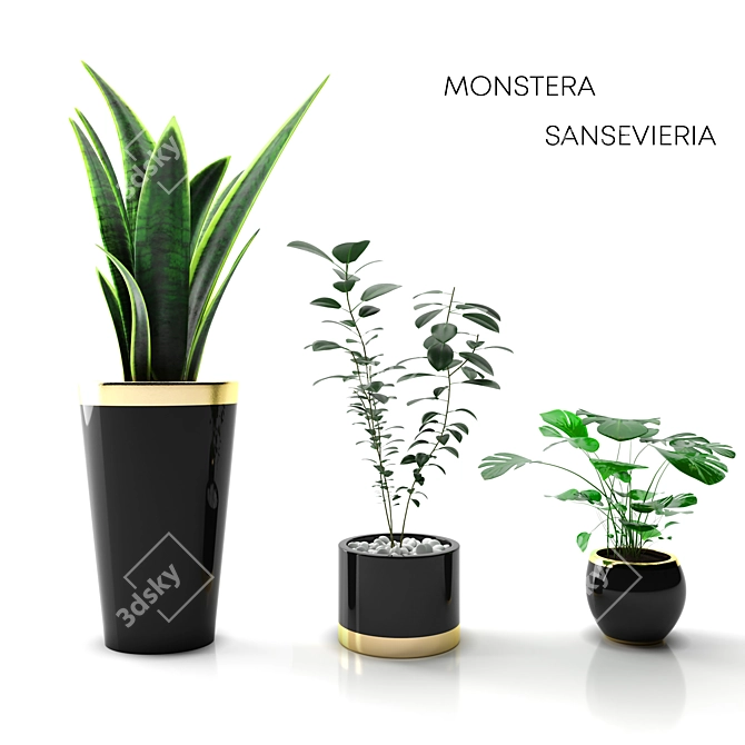 Botanic Trio: Indoor Plant Set 3D model image 2