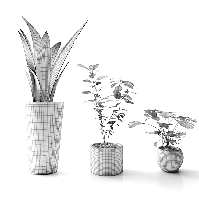 Botanic Trio: Indoor Plant Set 3D model image 3