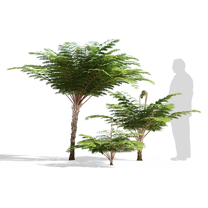 Fern: Stylish 3D Model 3D model image 1