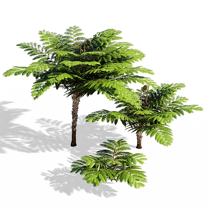 Fern: Stylish 3D Model 3D model image 2