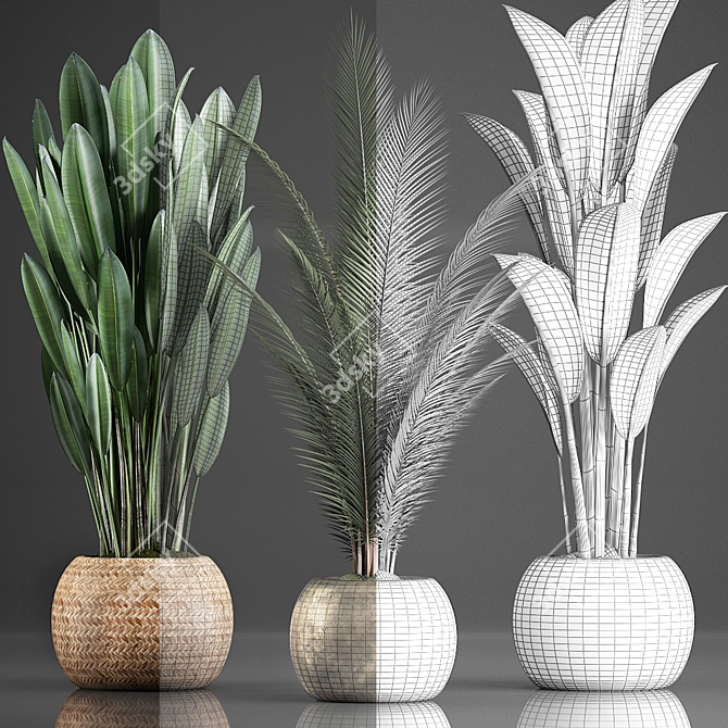 Exotic Indoor Plants Collection with 360 Varieties 3D model image 3