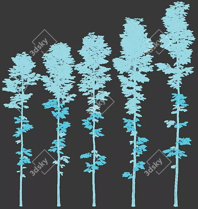 Tilia Euro Forest Trees: 5 Detailed Varieties 3D model image 5