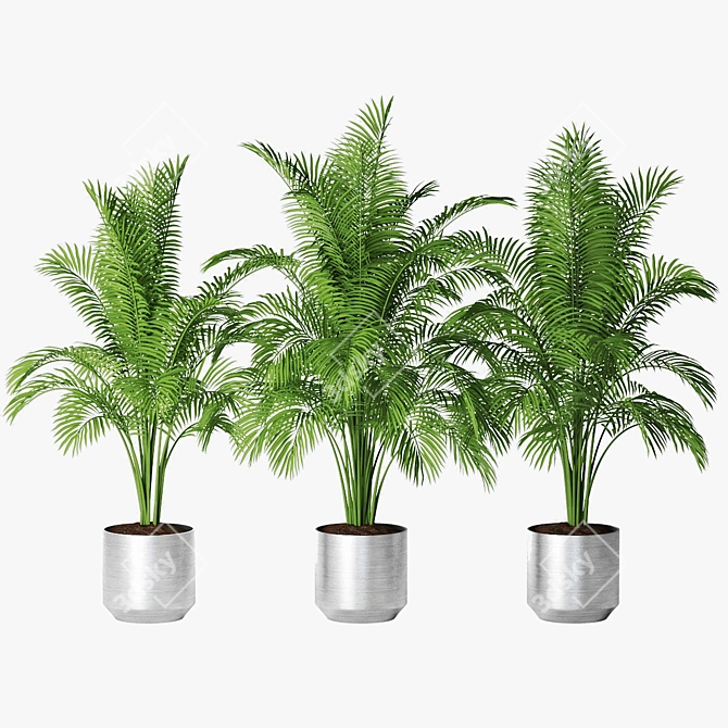 Tropical Trio Planter Set 3D model image 1