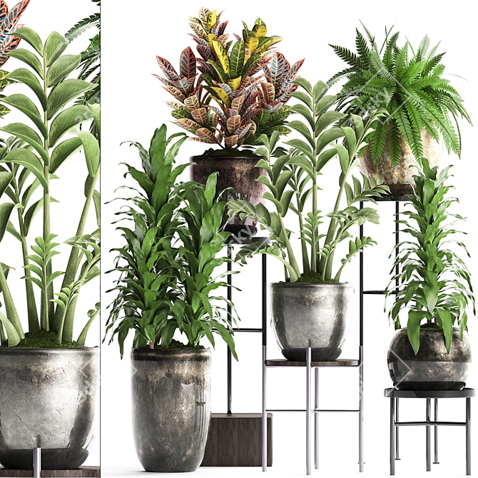 Title: Exotic Houseplant Collection 3D model image 1