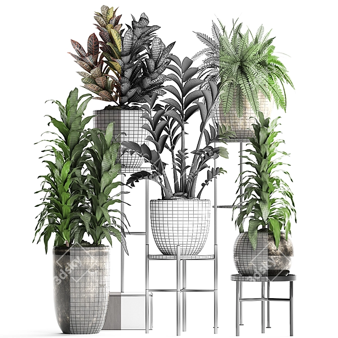 Title: Exotic Houseplant Collection 3D model image 3