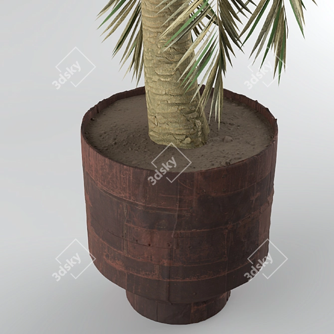 Tropical Bliss: Palm Tree for Soil & Pot 3D model image 3