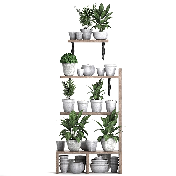 Exotic Houseplant Collection 3D model image 1