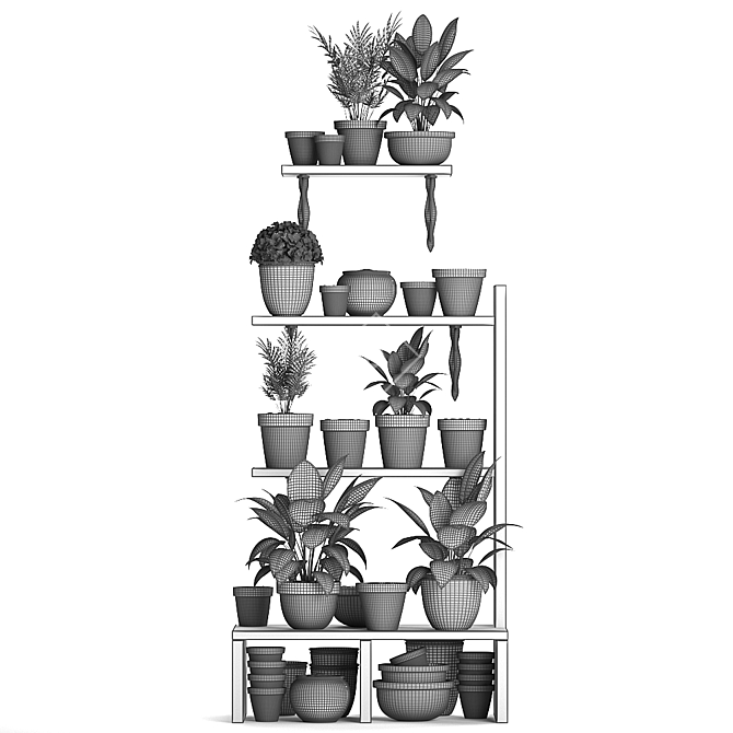 Exotic Houseplant Collection 3D model image 2