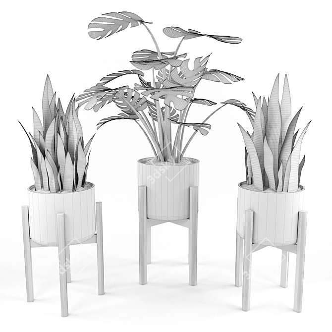 Title: Botanic Greenery Assortment 3D model image 2